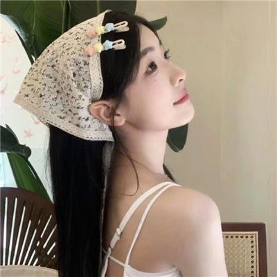 斑马头